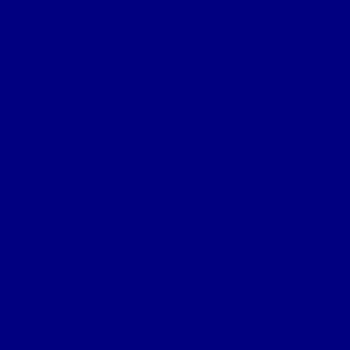  Navy Blue color #000080