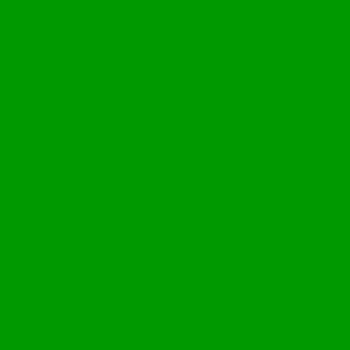  Islamic Green color #009900