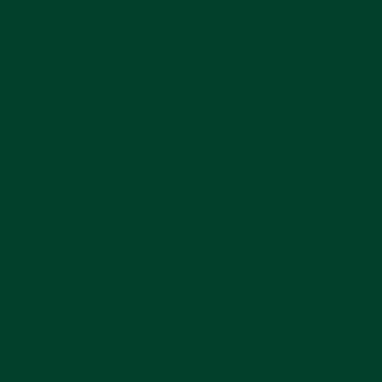  Zydeco color #02402C