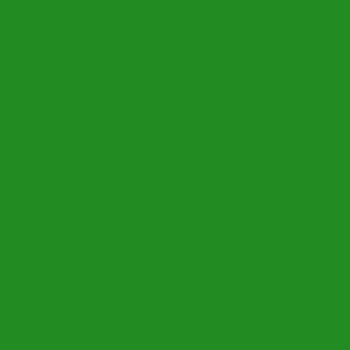  Forest Green (web color) color #228B22