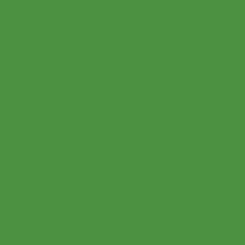  May Green color #4C9141