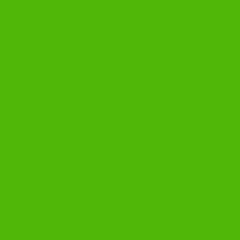 Usumbara Chameleon Harlequin color #50B708