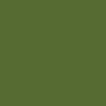  Dark Olive Green color #556B2F