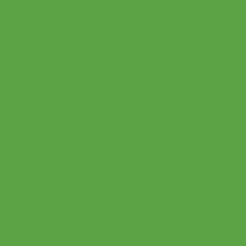  Groovy color #5CA345