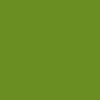  Olive Drab (web color) color #6B8E23