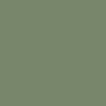  Camouflage Green color #78866B