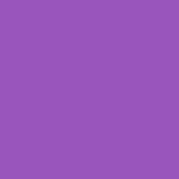  Deep Lilac color #9955BB