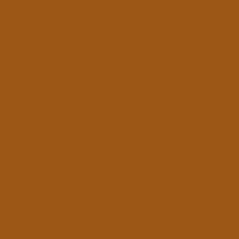  Hawaiian Tan color #9D5616