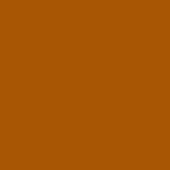  French Tan color #A75502