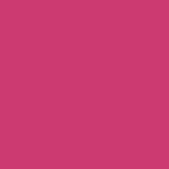  Raspberry Sorbet color #CC3A71