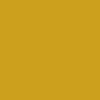  Lemon Curry color #CCA01D