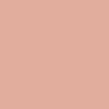  Dusty Pink color #E1AD9D