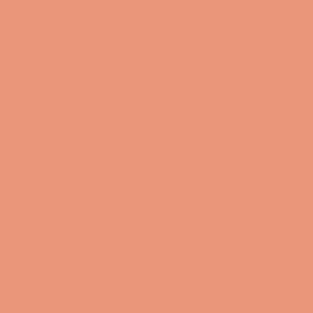  Dark Salmon (web color) color #E9967A