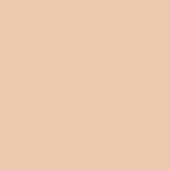  Desert sand color #EDC9AF