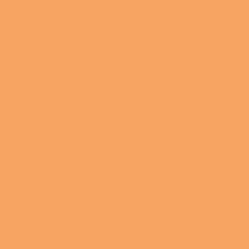  Sandy Brown color #F4A460