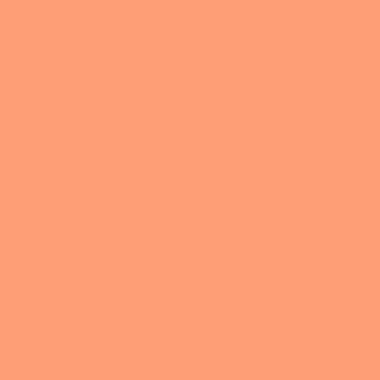  Light Salmon (web color) color #FFA07A