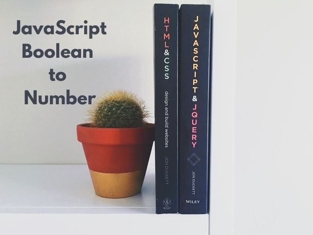JavaScript : Convert Boolean to Number / Integer 